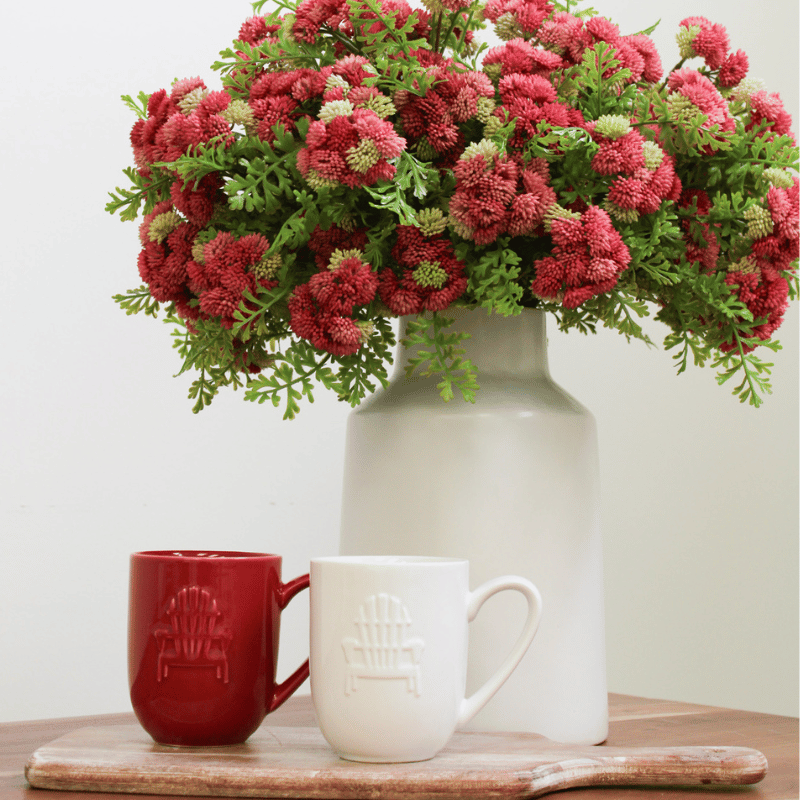 Red Adirondack Mug