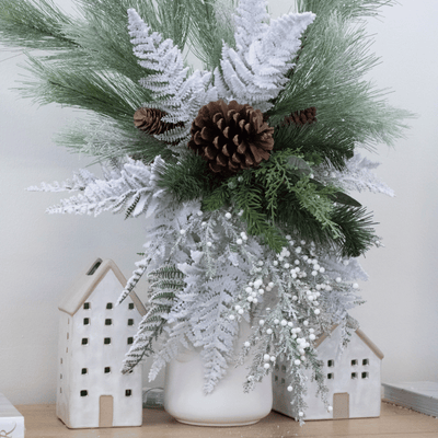 Snowy Lace Fern Bush