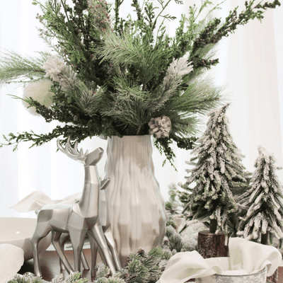 Snow Covered Small Pine Tree