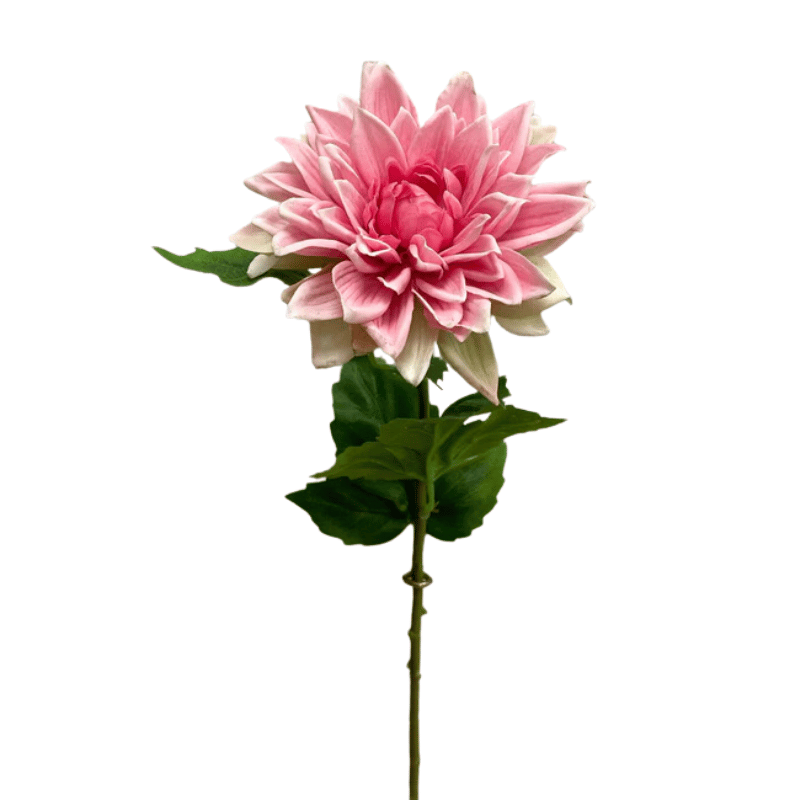 Pink Fresh Touch Dahlia Spray