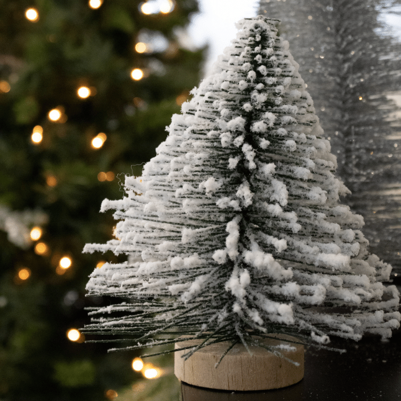 Small Pine Frosted Tree