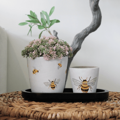 Flying Bee Planter