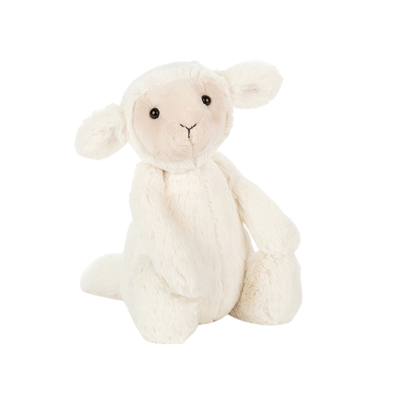 Bashful Lamb