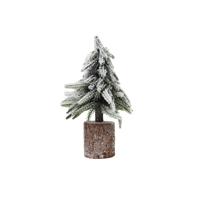 Snow Covered Small Pine Tree