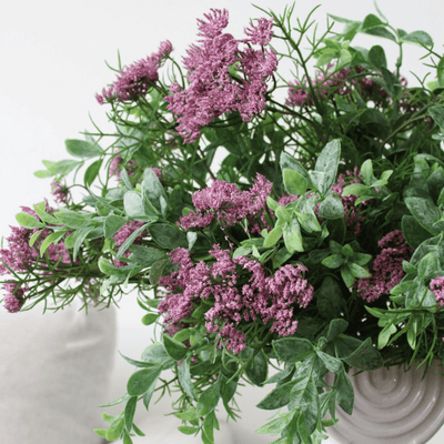 Pink Queen's Lace Bush