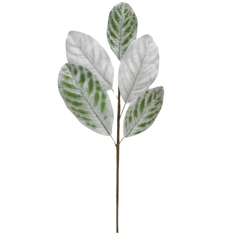 Silver & Green Leaves