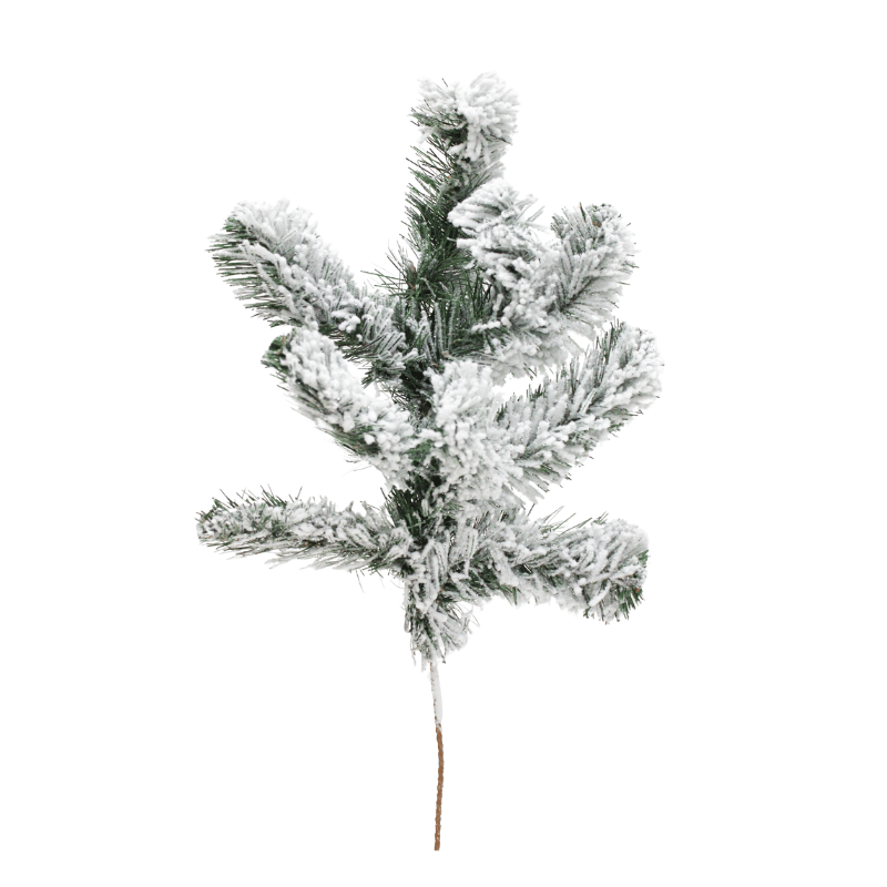 Snowed Douglas Fir Spray