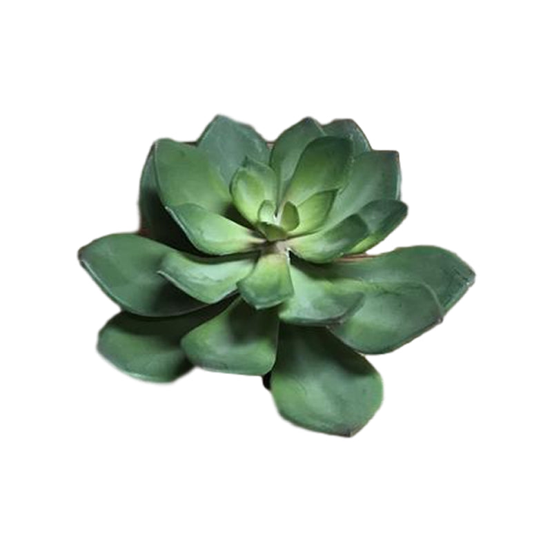 Faux Echeveria Succulent